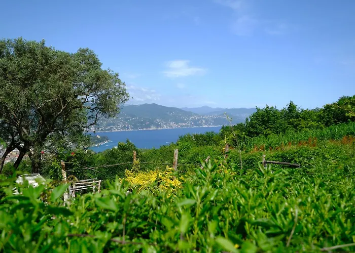 Lejlighed Casa Collina By Portofinovacanze *