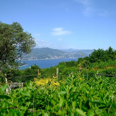 Apartamento Casa Collina By Portofinovacanze *